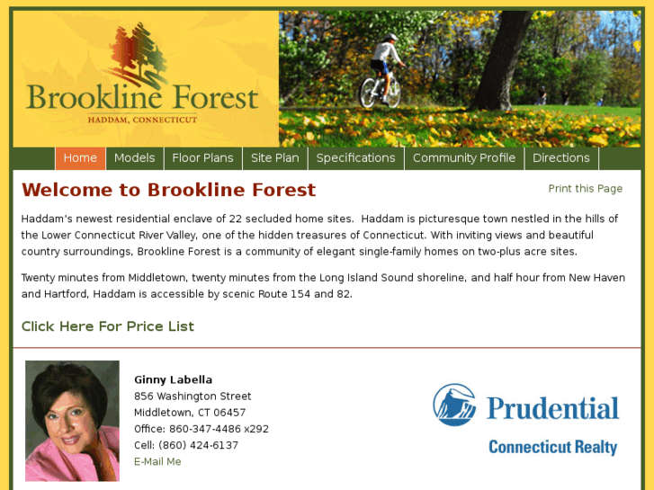 www.brooklineforest.com