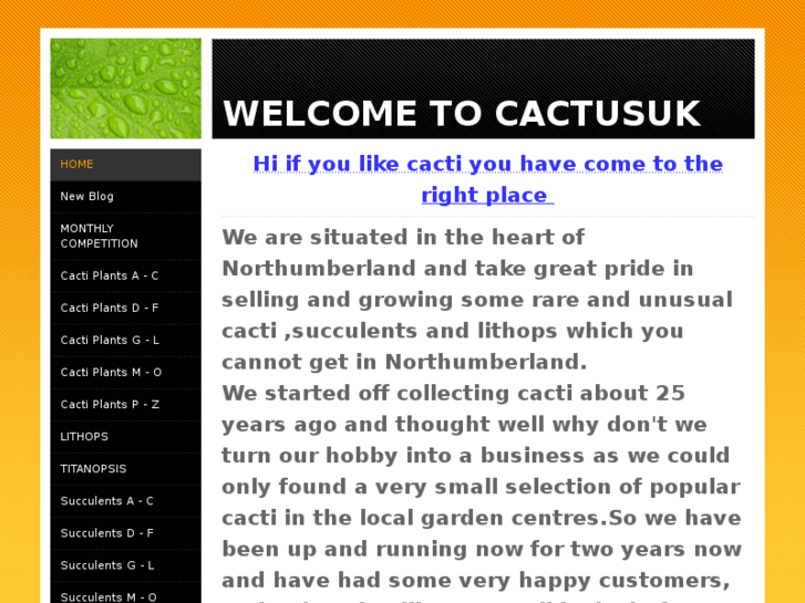 www.cactusuk.co.uk