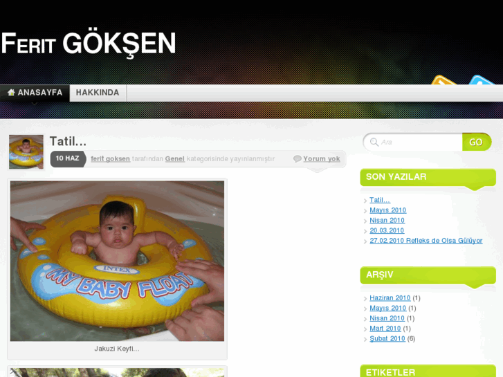 www.feritgoksen.com