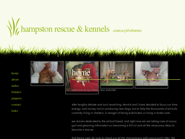 www.hampstonkennels.com