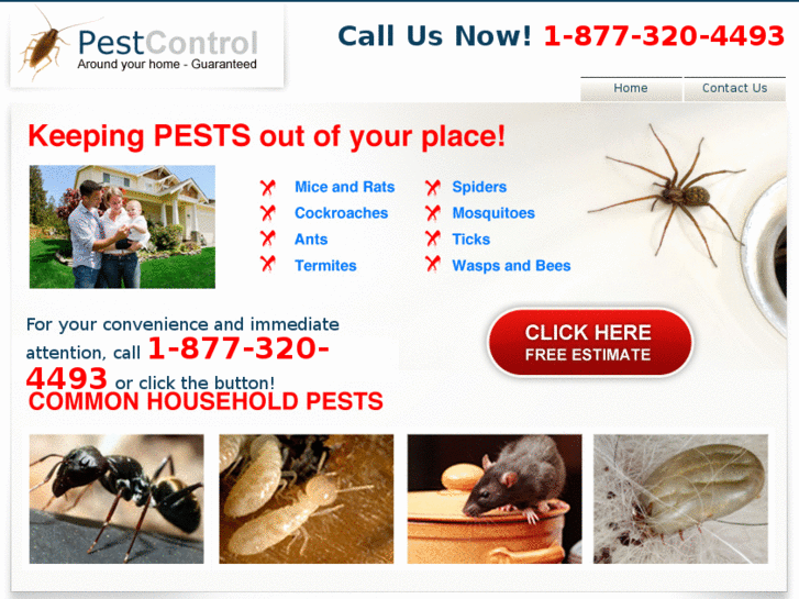 www.pestcontrolhiltonheadisland.com