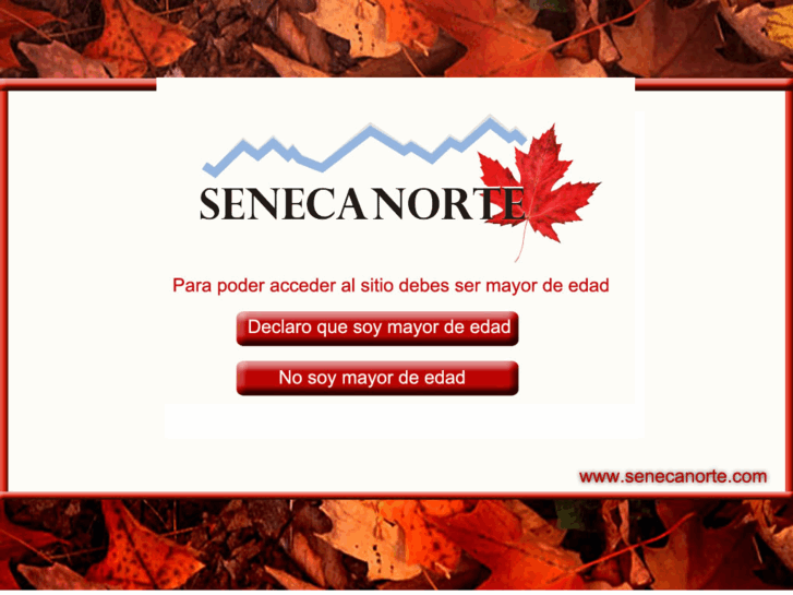 www.senecanorte.com