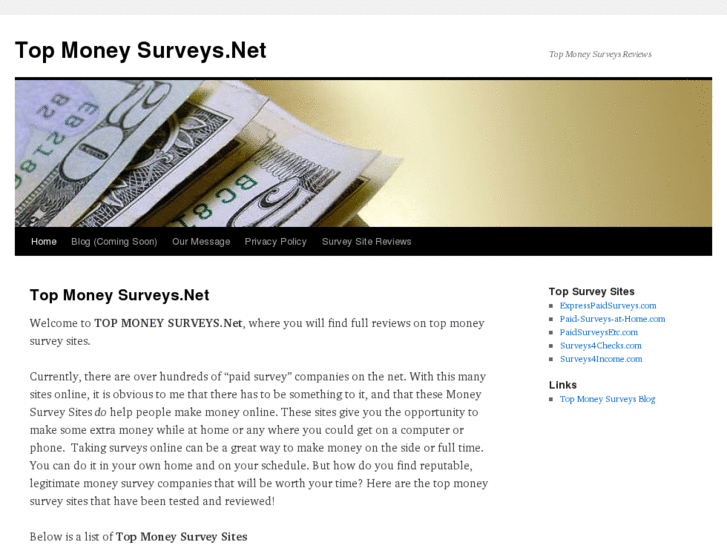 www.topmoneysurveys.net