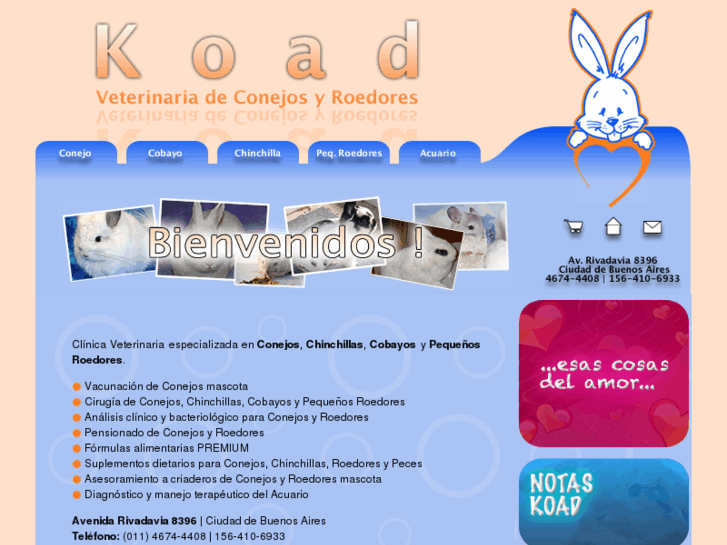 www.veterinariakoad.com.ar