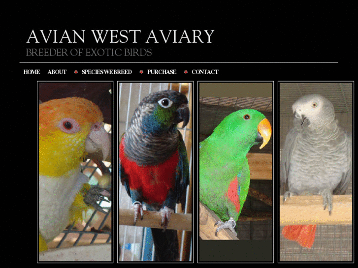 www.avianwest.com