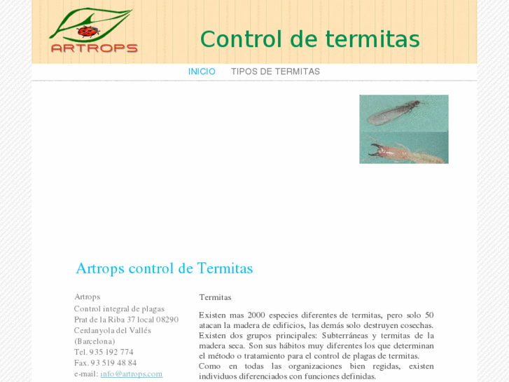 www.controltermitas.com