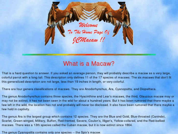 www.jcmacaw.com