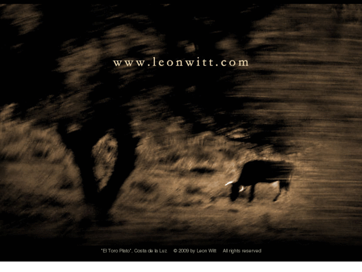 www.leonwitt.com