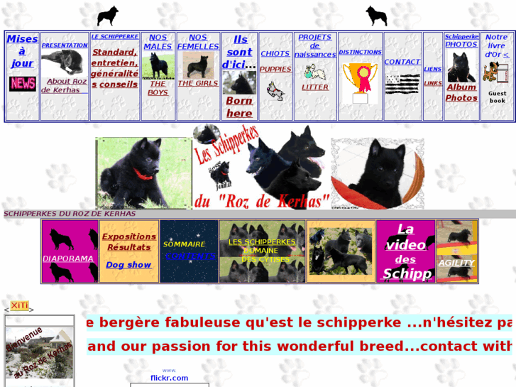 www.schipperke-rozdekerhas.com