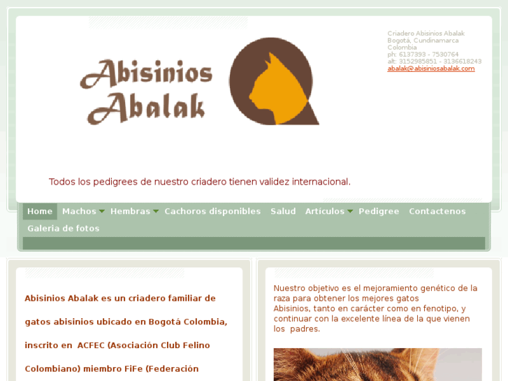 www.abisiniosabalak.com