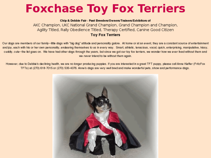 www.foxchasetoyfoxterriers.com