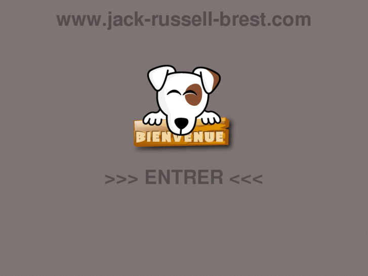 www.jack-russell-brest.com