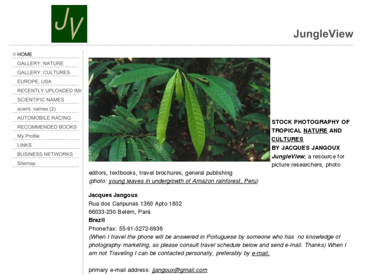 www.jungleview.com