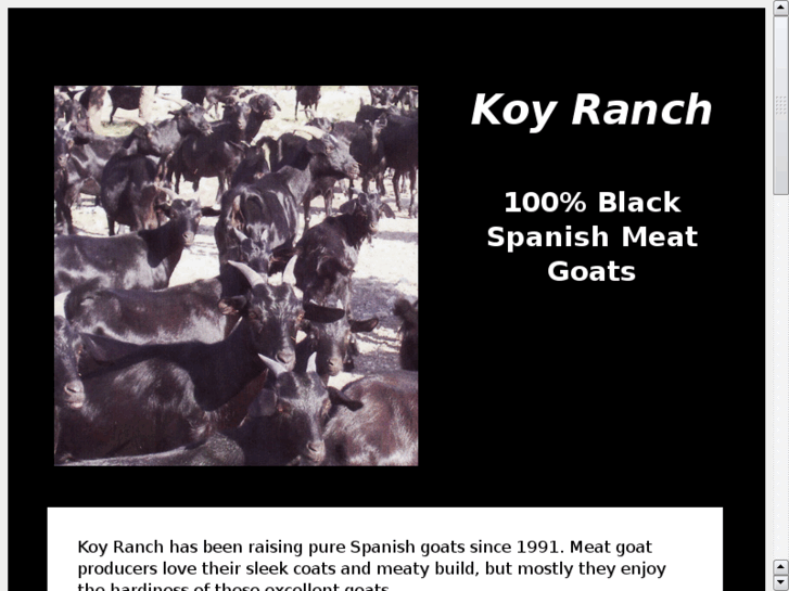 www.koyranch.com