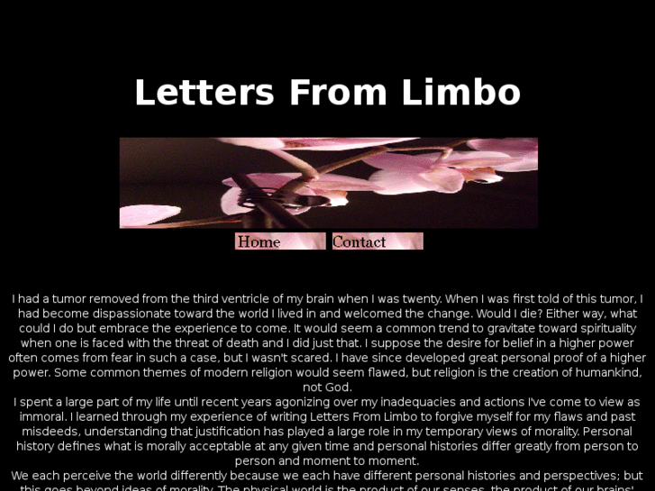 www.lettersfromlimbo.com