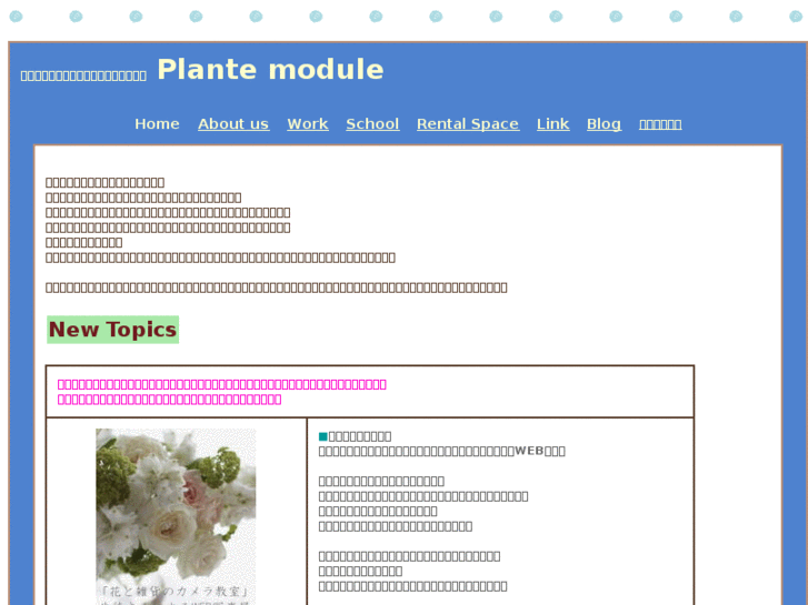 www.plante-module.com