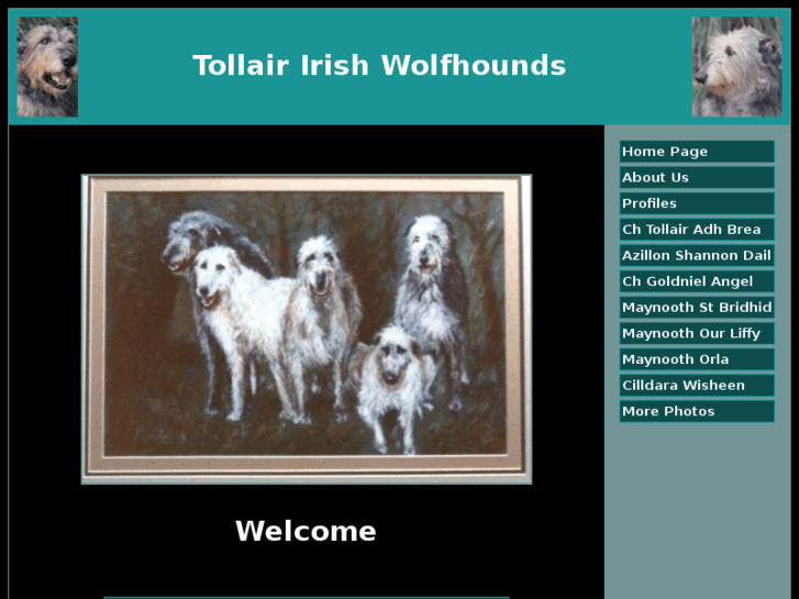 www.tollairirishwolfhounds.com