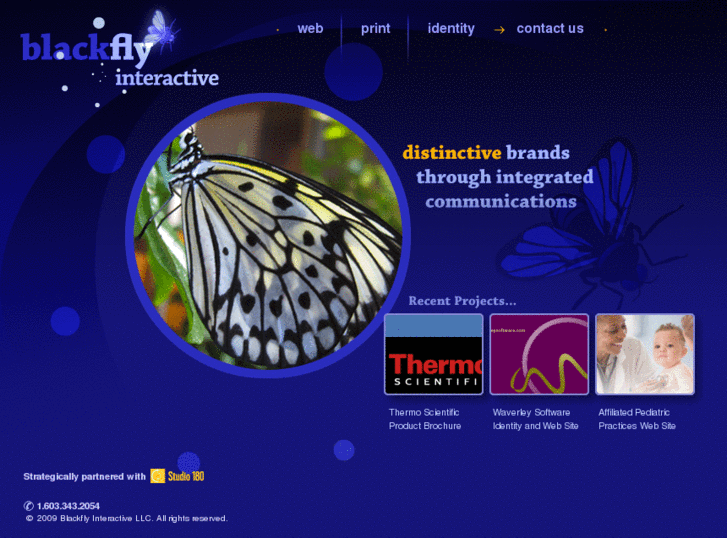 www.blackflyinteractive.com