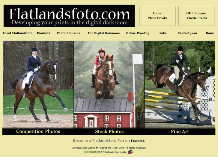 www.flatlandsfoto.com