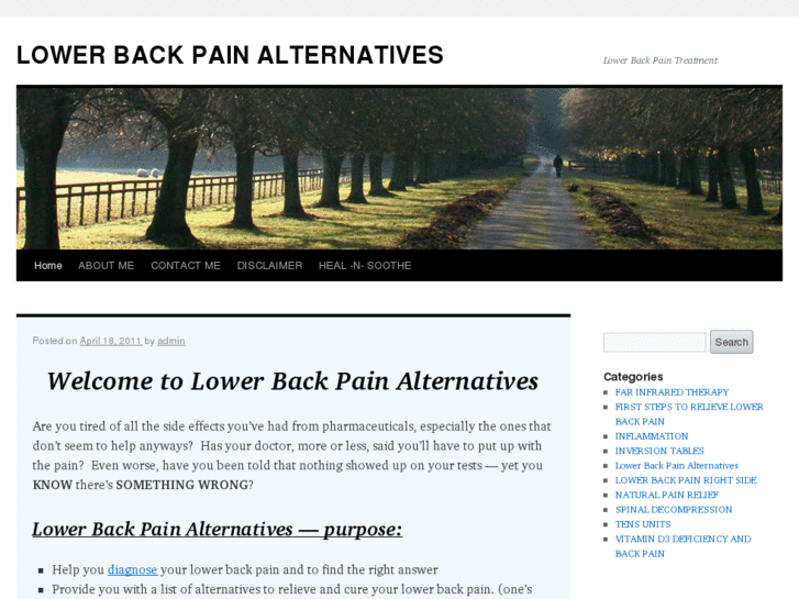 www.lowerbackpainalternatives.com