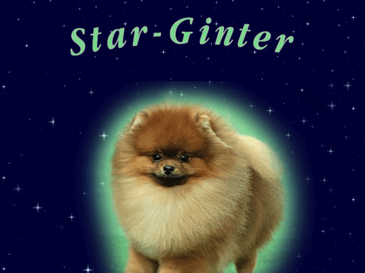 www.star-ginter.ru