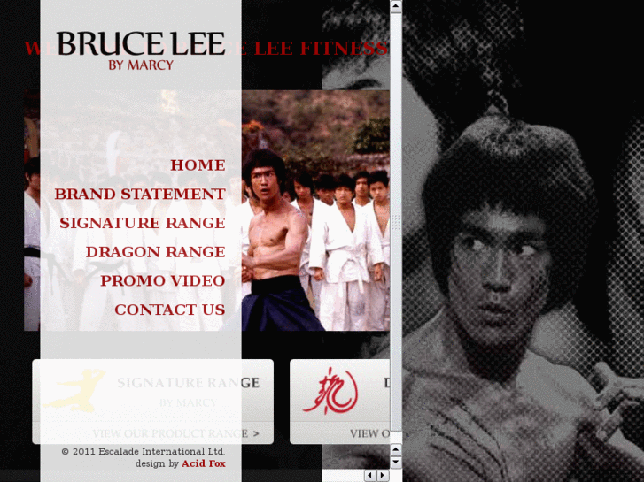 www.bruceleefitness.com