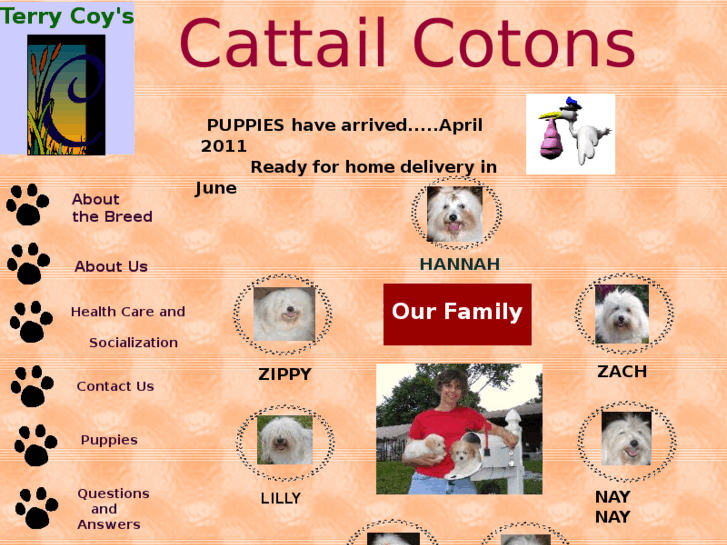 www.cattailcotons.com