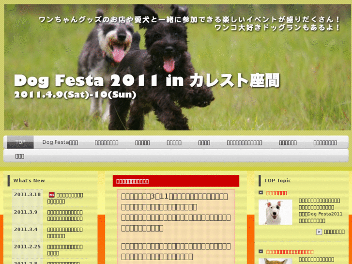 www.dogfesta.com