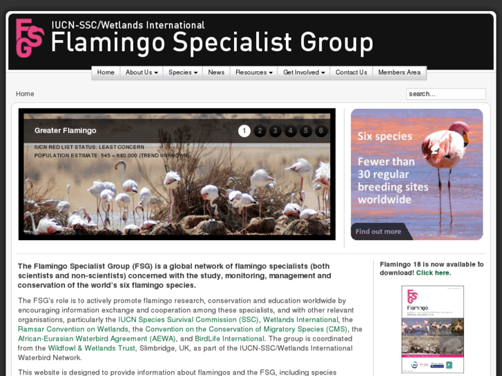 www.flamingo-sg.org