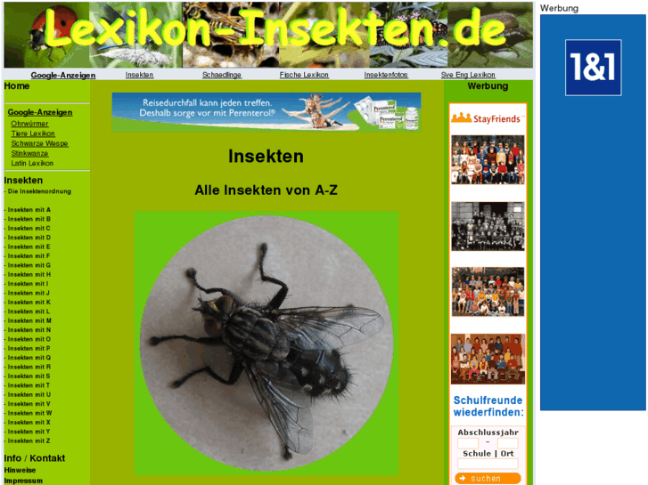 www.lexikon-insekten.de