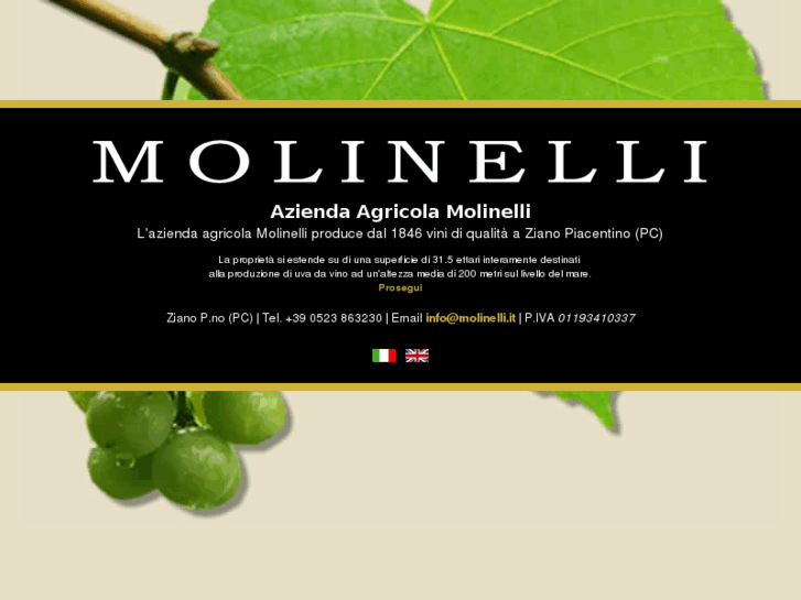 www.molinelli.it
