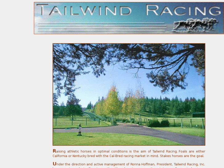 www.tailwindracing.com