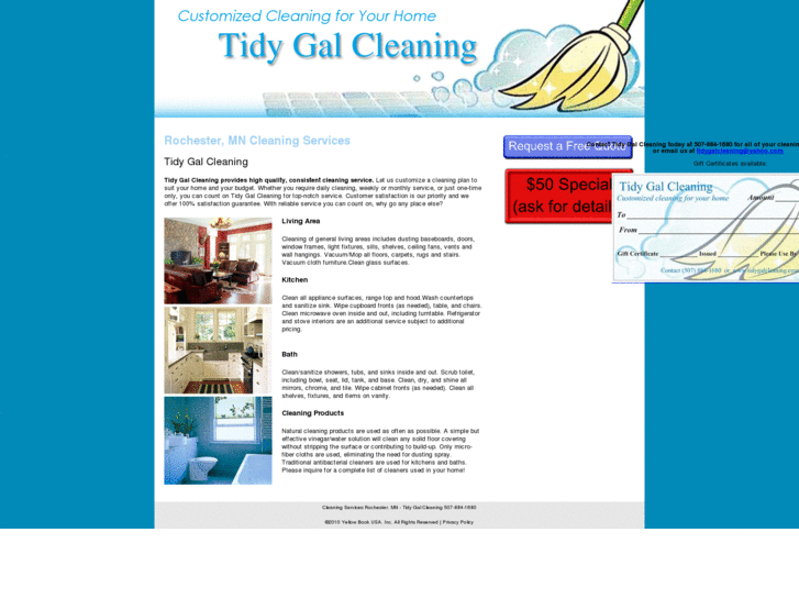 www.tidygalcleaning.com