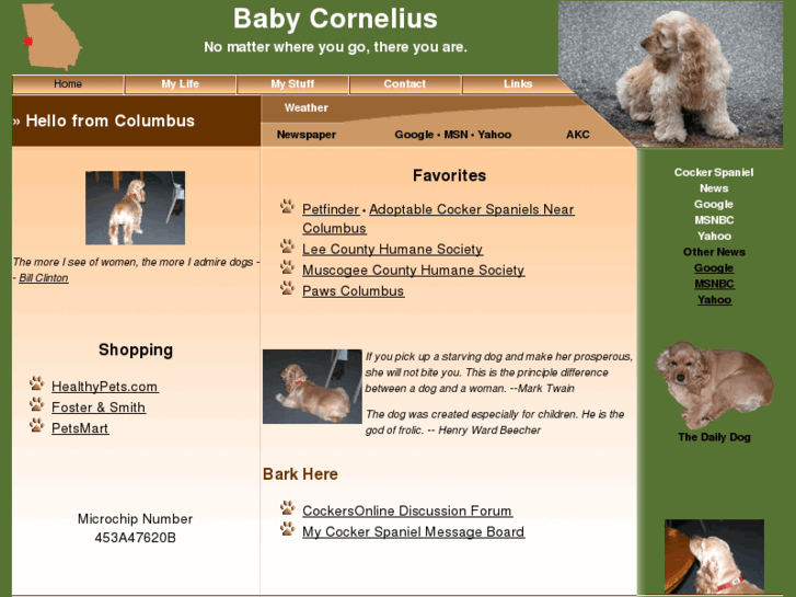 www.babycornelius.com