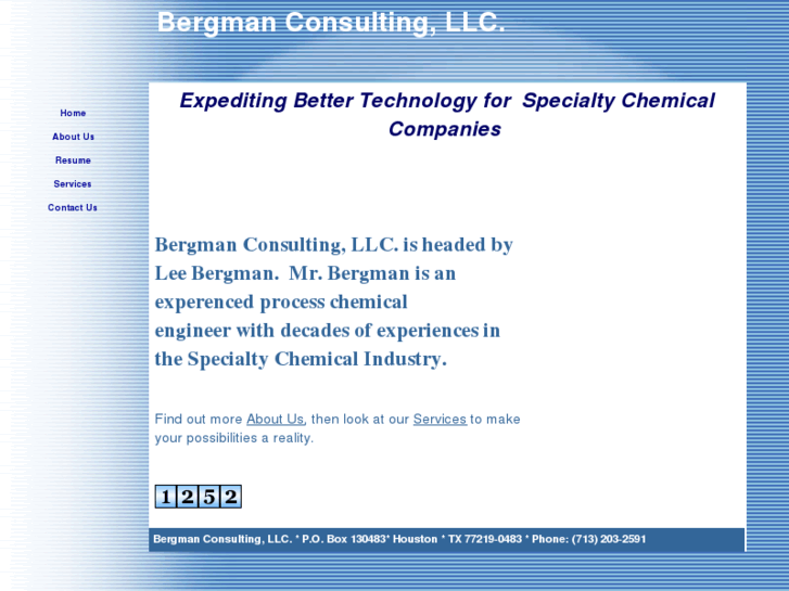 www.bergmanconsulting.net