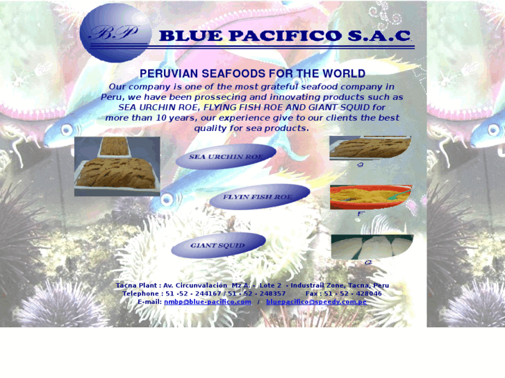 www.blue-pacifico.com