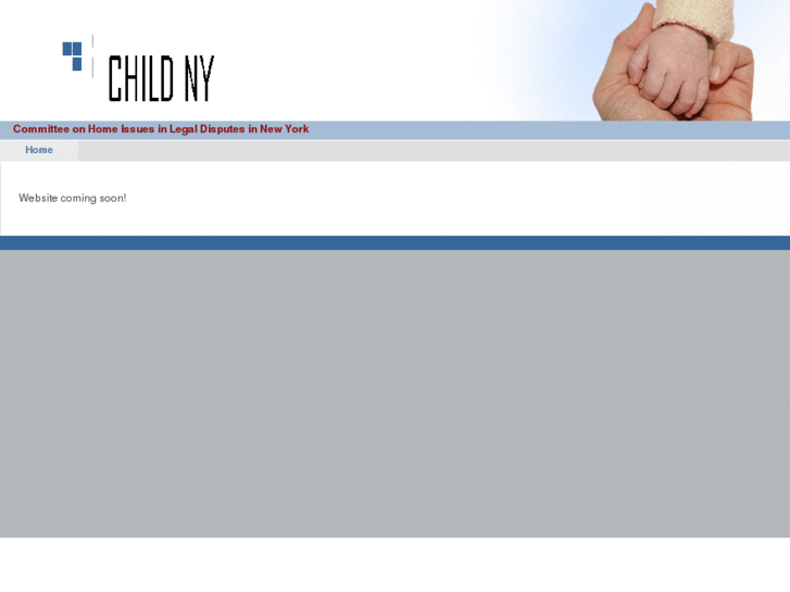 www.childny.com