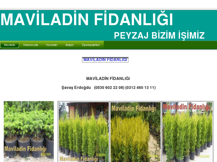 www.maviladinfidanligi.com