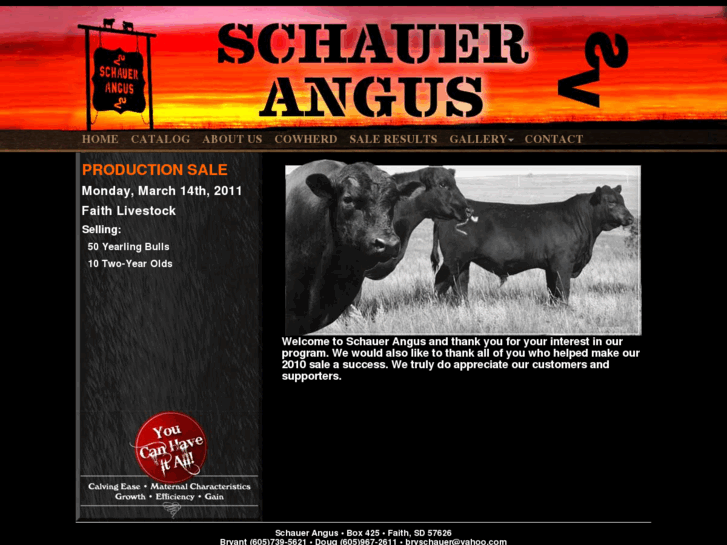 www.schauerangus.com