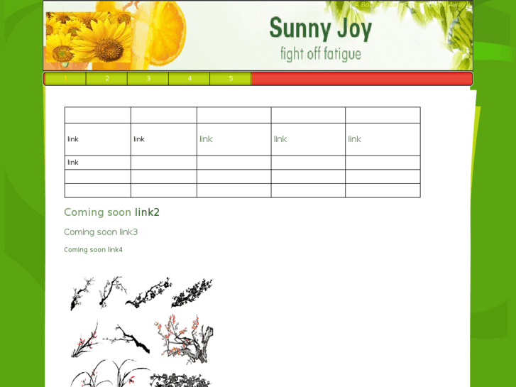 www.sunnyjoydrink.com