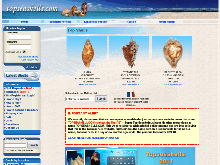 www.top-seashell.com