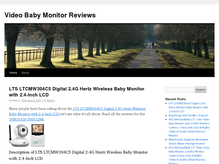 www.videobabymonitorreviews.info