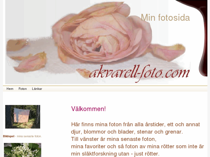 www.akvarell-foto.com