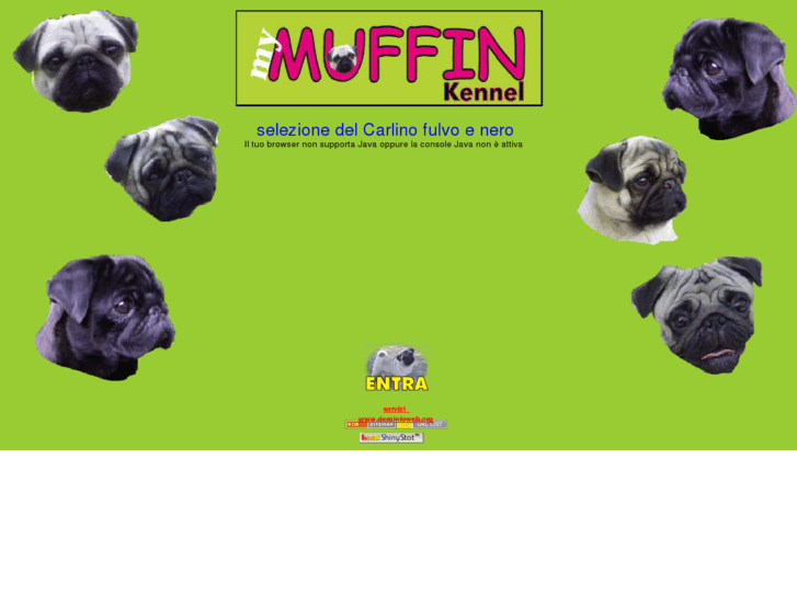 www.carlinomuffin.it