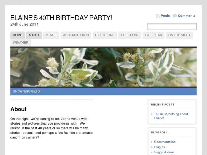 www.elaines40th.com