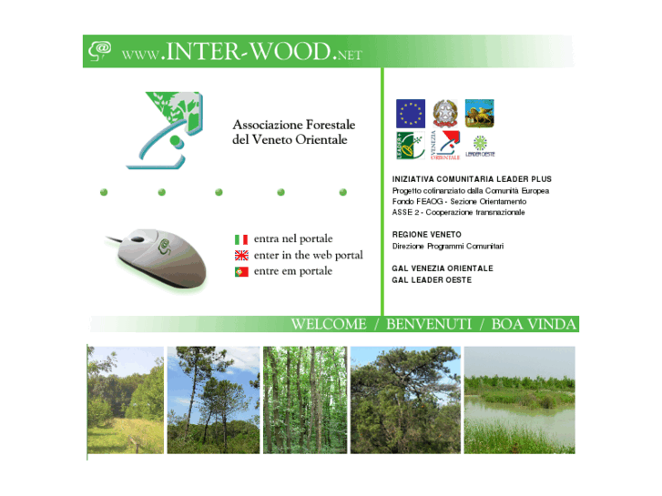 www.inter-wood.net