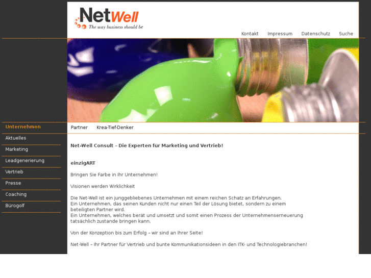www.net-well-consult.com