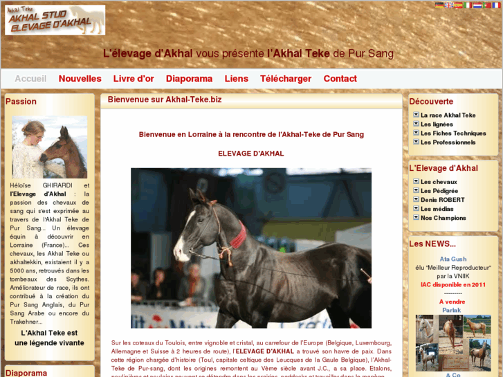 www.akhal-teke.biz