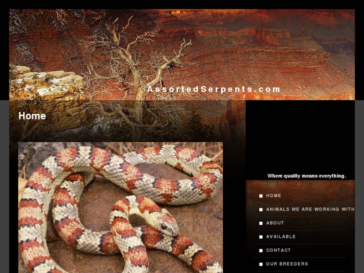 www.assortedserpents.com