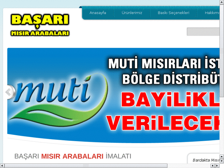 www.basarimisirarabalari.net